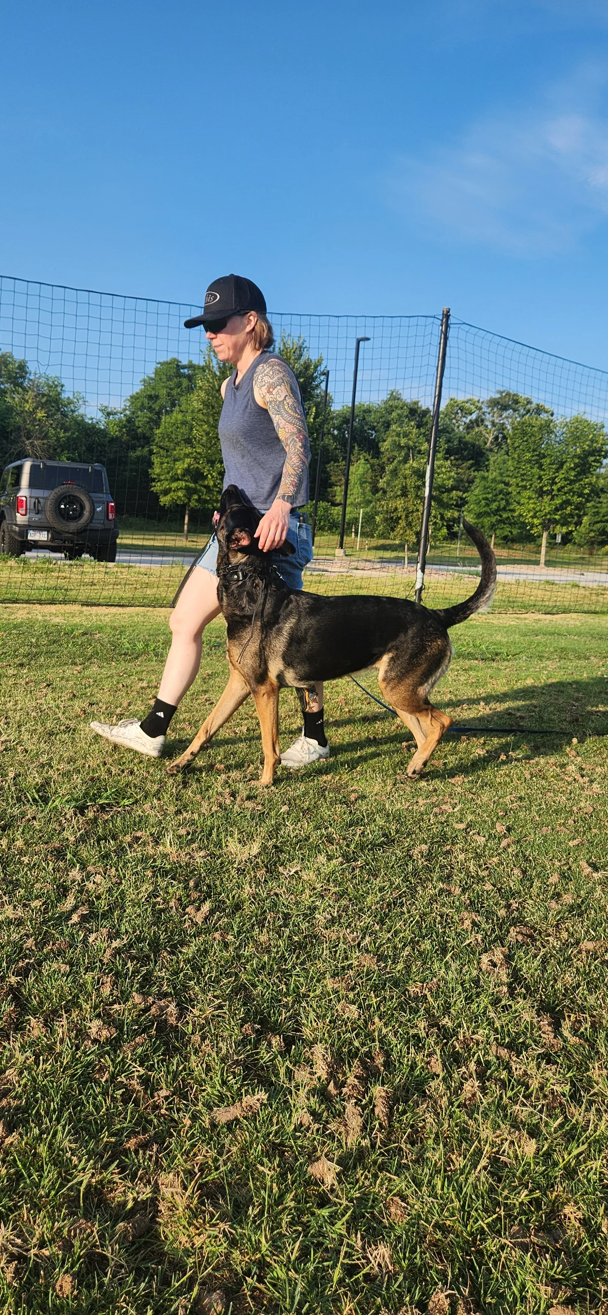 Dogtastic training group