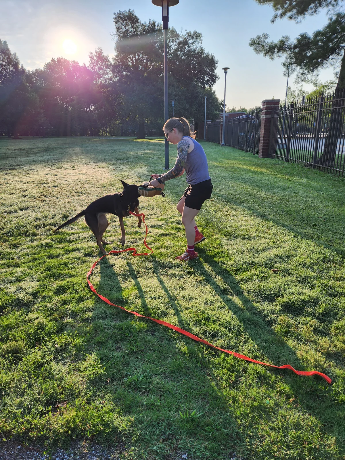 Dog and handler working together during training