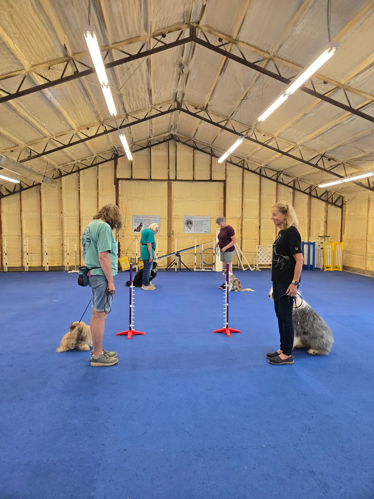 Dogtastic training group