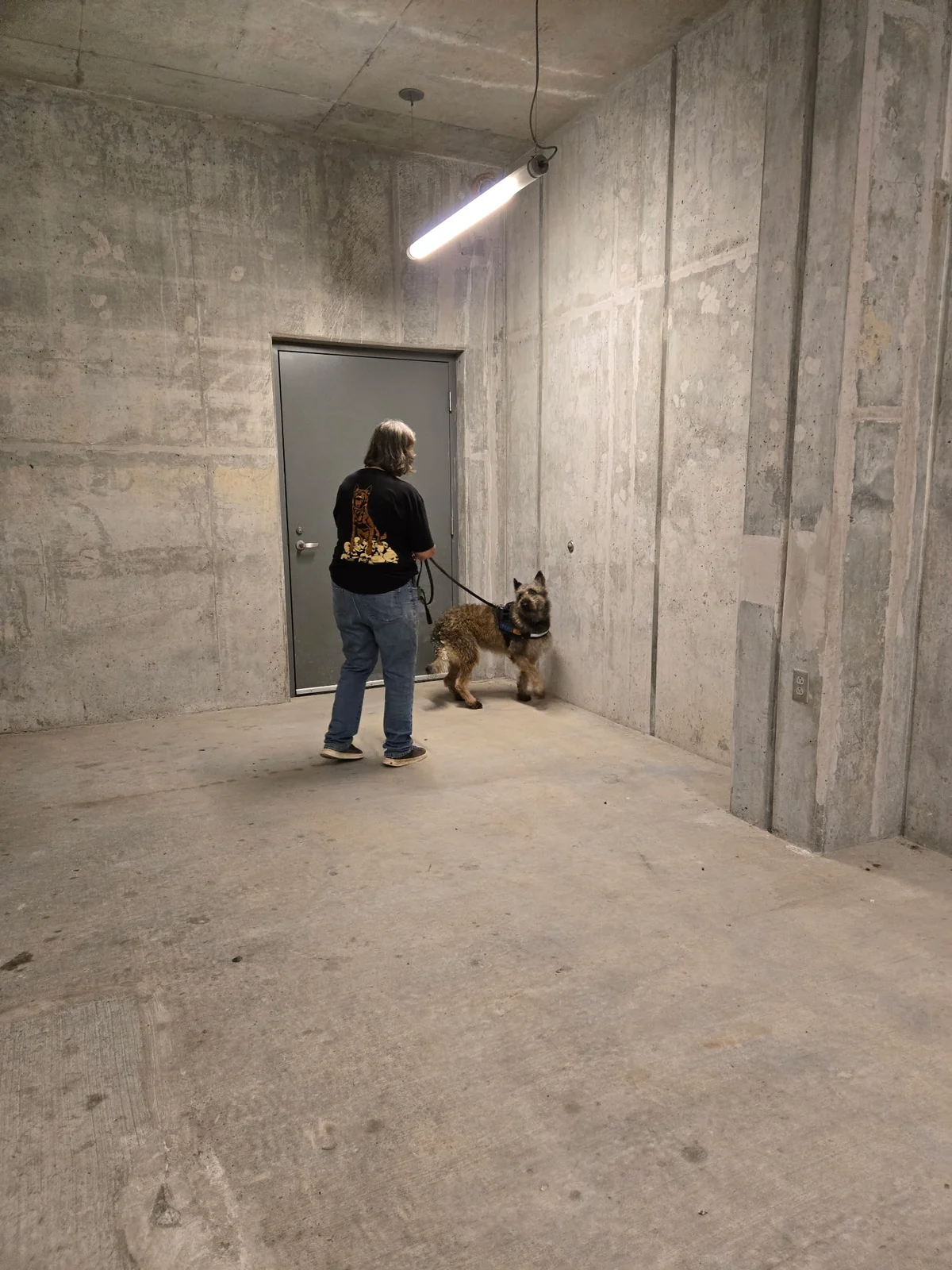 Dogtastic training group