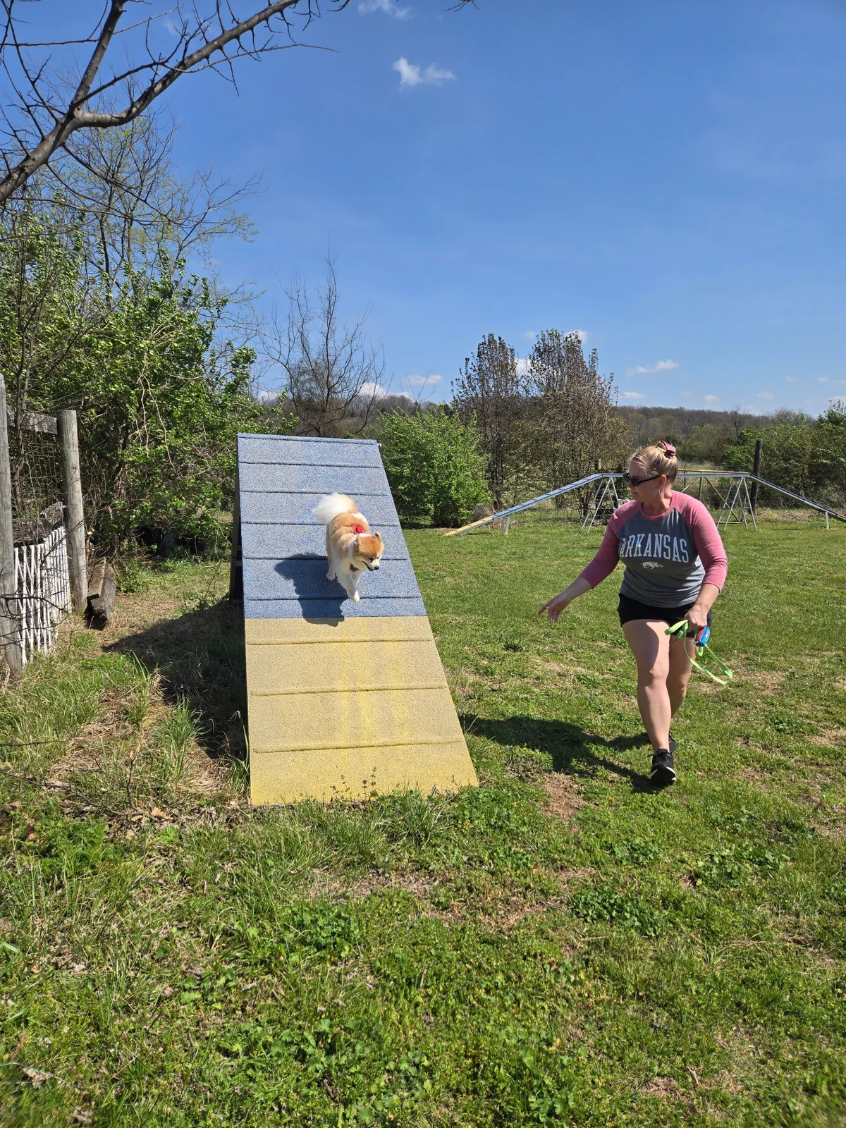 Dogtastic training group