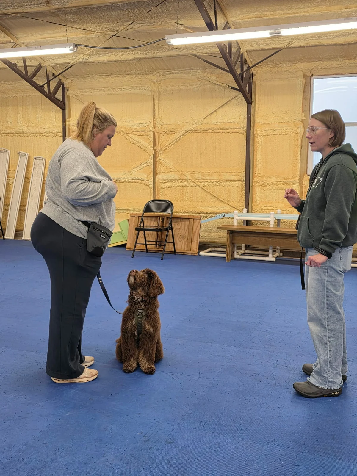 Dog training at Dogtastic