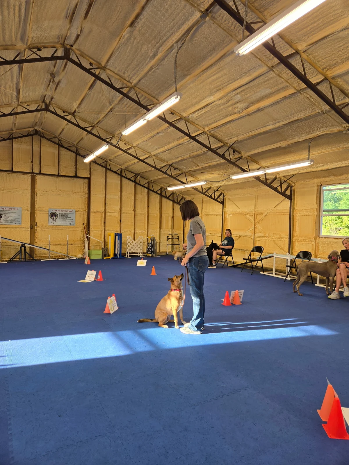 Dogtastic training group